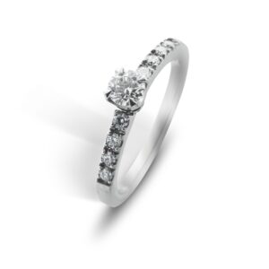 Anillo Dominga