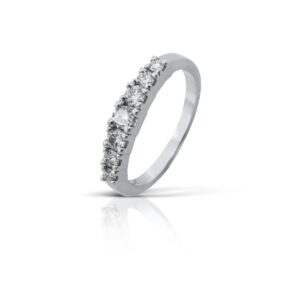 Anillo Javiera