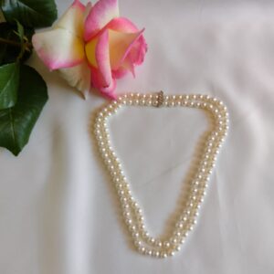 Collar Modelo CP1