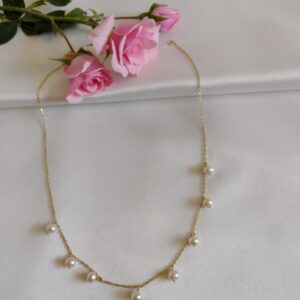Collar Modelo CP5