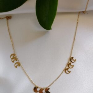 Collar Modelo CG8