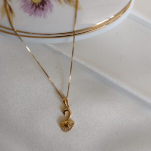 Conjunto CG29