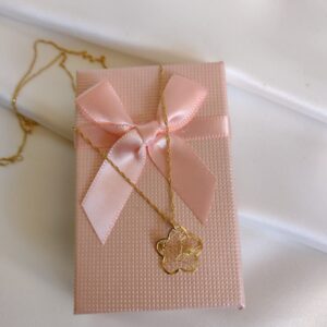 Conjunto CG31