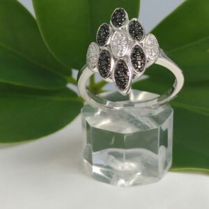 Anillo Constanza - Línea Proud